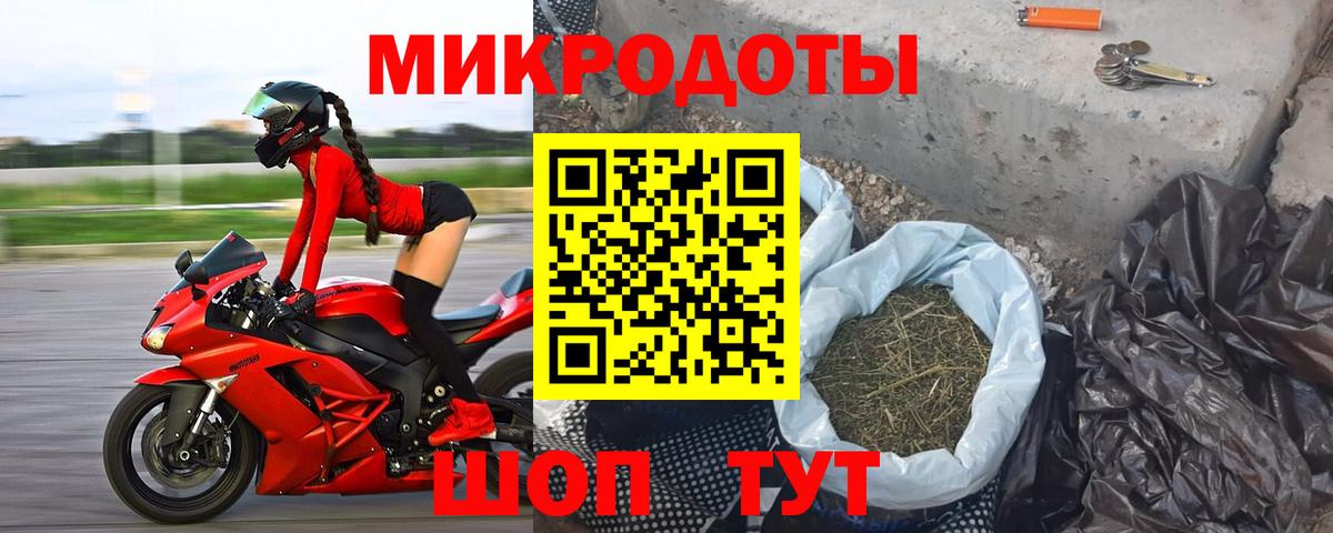 Галлюциногенные грибы Psilocybe Осинники