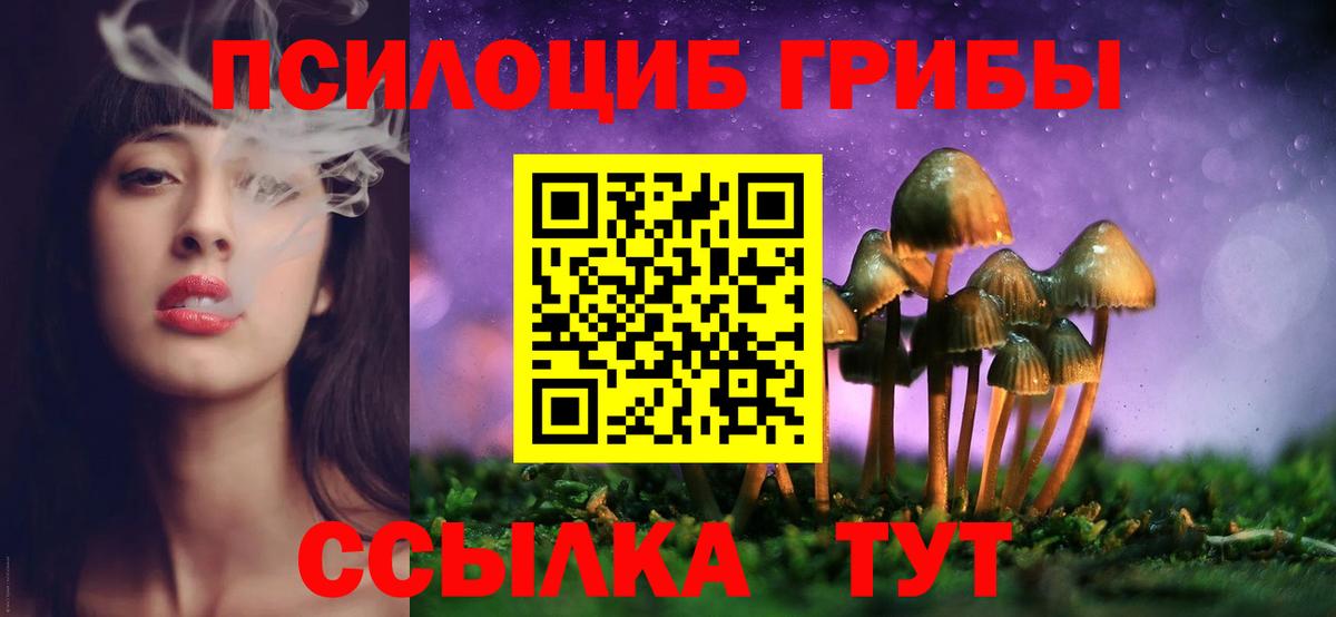 Осинники  Галлюциногенные грибы мицелий  Вход с VPN 